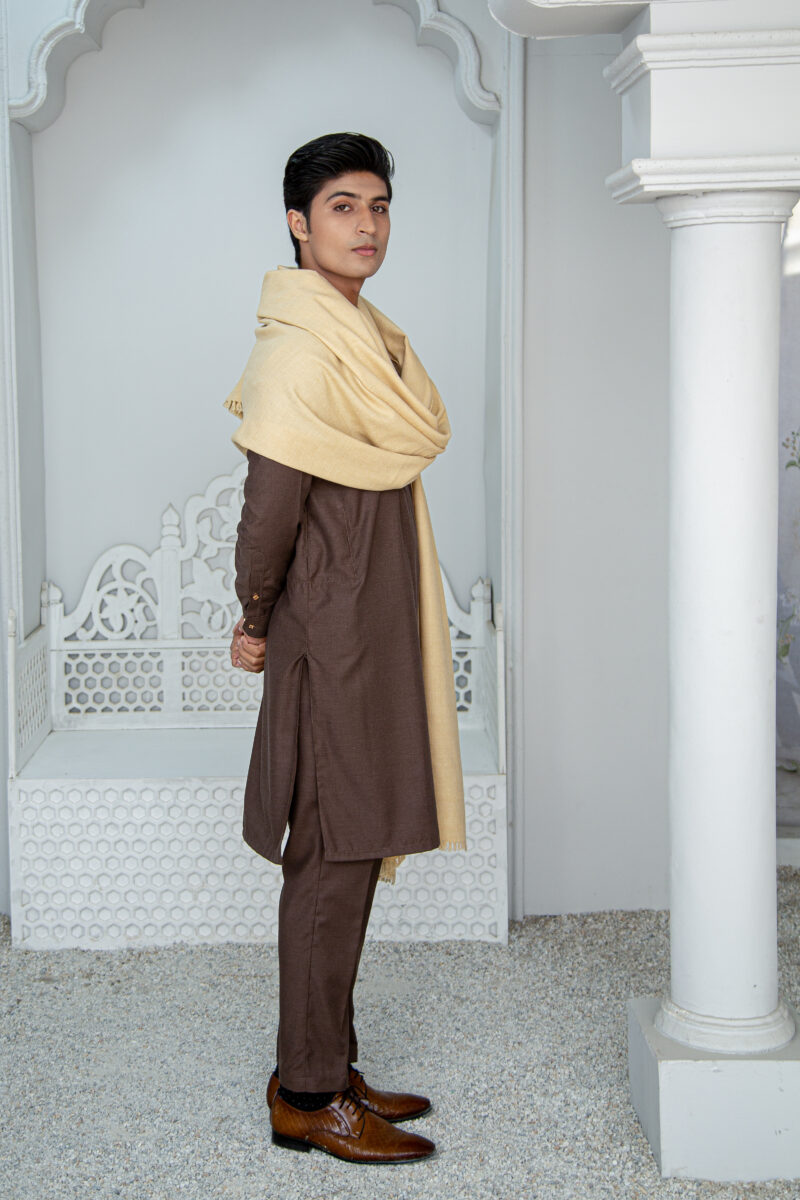 Beige Pashmina Shawl - Image 3