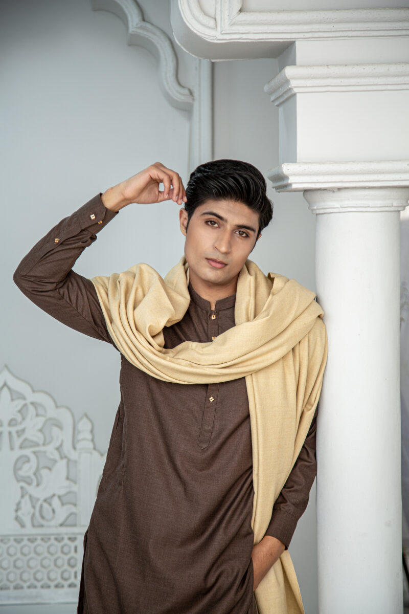 Beige Pashmina Shawl - Image 4
