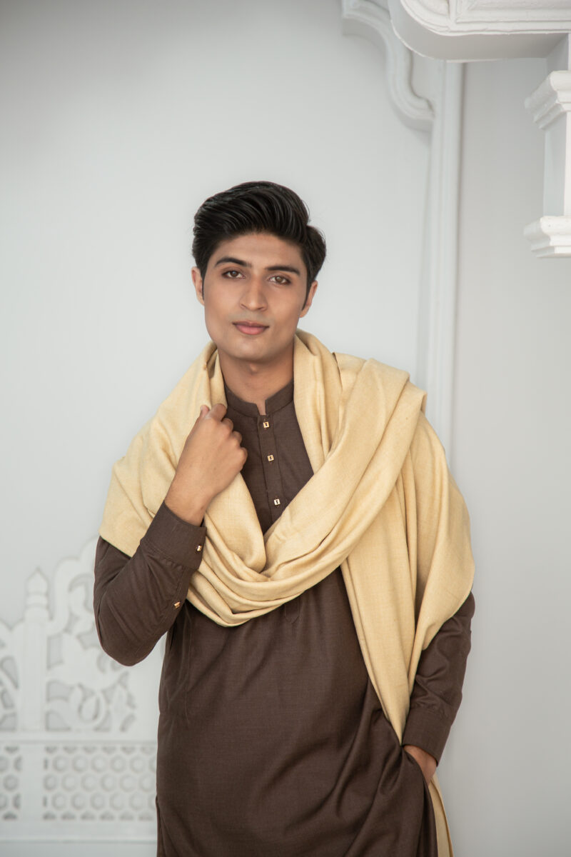 Beige Pashmina Shawl